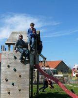 schommel - het hemelsdierenrijk